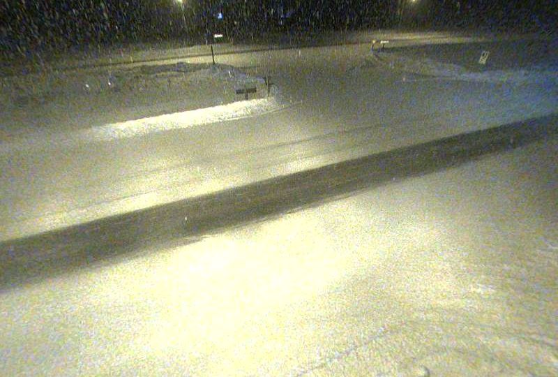 Tarbutt Township › South: Highway 17 at Barr Road, Looking South