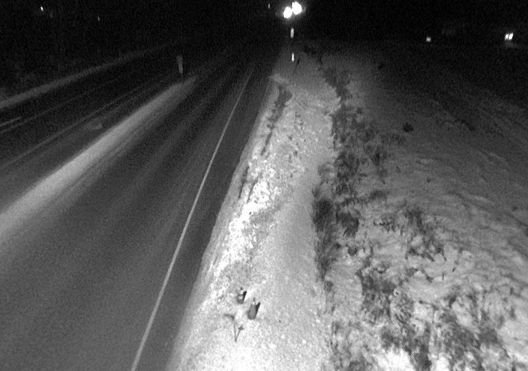 Greater Sudbury › East: Highway 17 at Fairbank Lake Road, Looking East