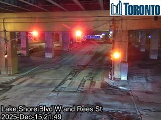 Old Toronto: Lake Shore Boulevard near Rees Street