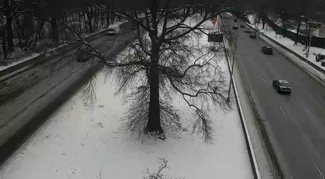 Mount Vernon: Bronx River Parkway at Mace Avenue