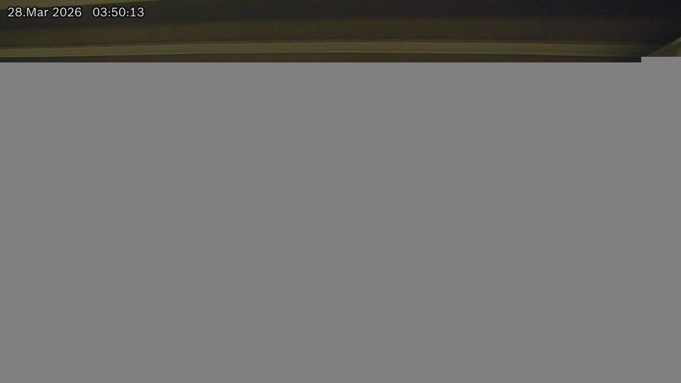 Lasalle: Oliver › South-east: Highway 401 near Howard Avenue