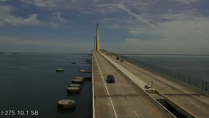 Palmetto