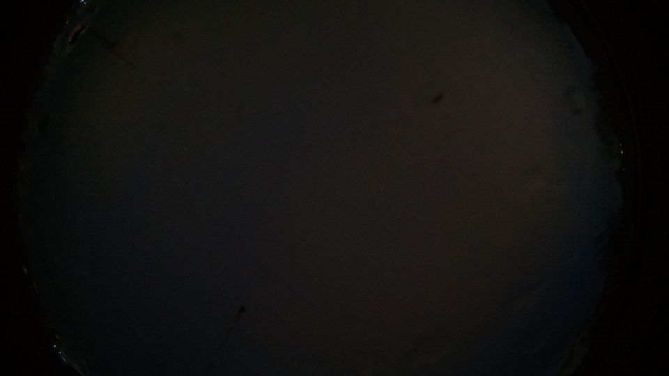 Ингольштадт