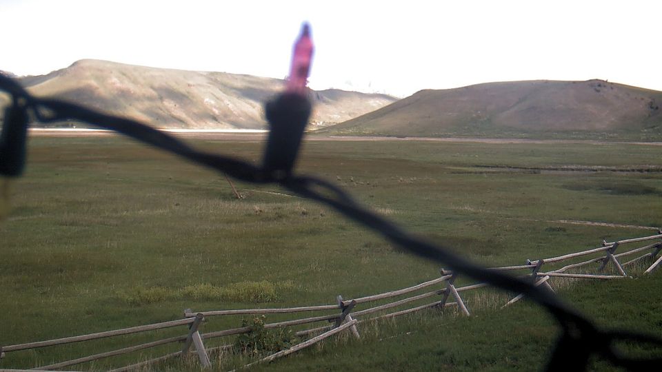 Jackson: National Elk Refuge Road