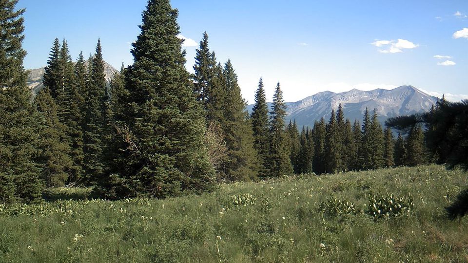 Mount Crested Butte › North-west: Snodgrass Mountain