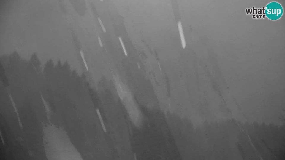 Kranjska Gora: Ski - Velika Dolina