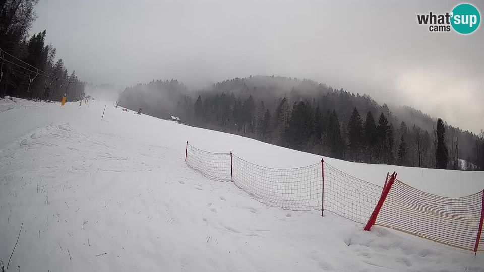 Kranjska Gora: Ski - Brsnina