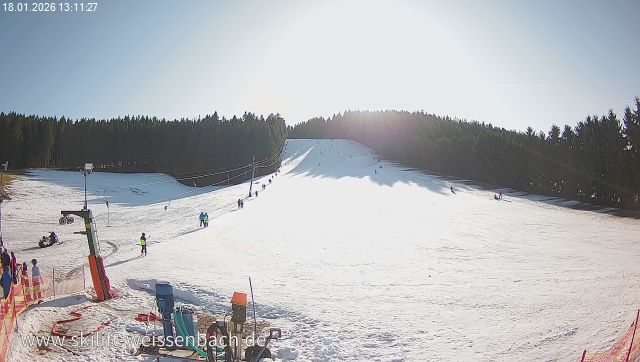 Schonwald im Schwarzwald