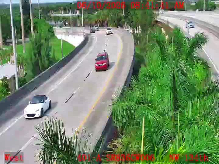 Tamiami