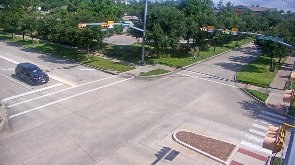 The Woodlands
