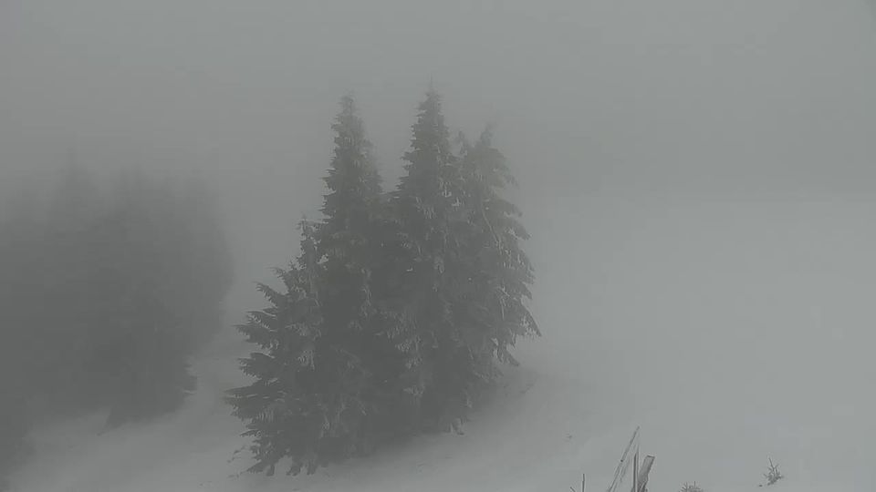 District of Martin: Martinské Hole