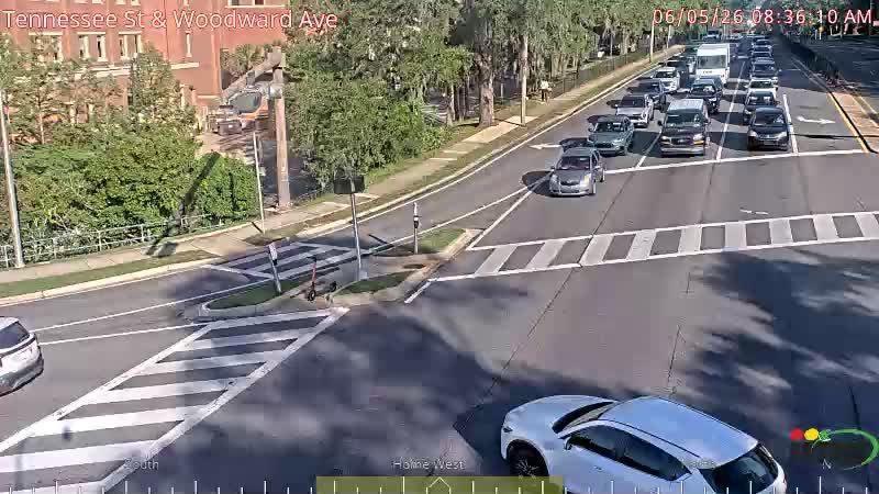 Tallahassee
