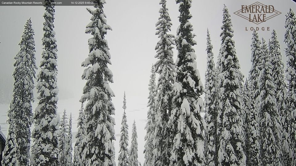 Area A › North: Emerald Lake Lodge