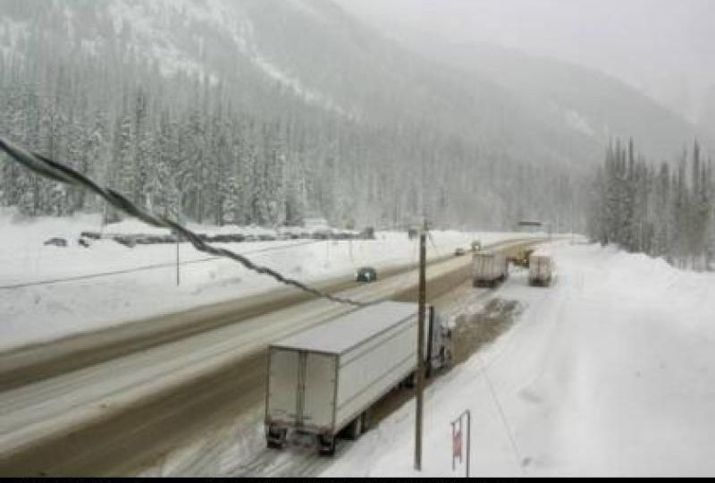 Area A › North-east: Rogers Pass Compound