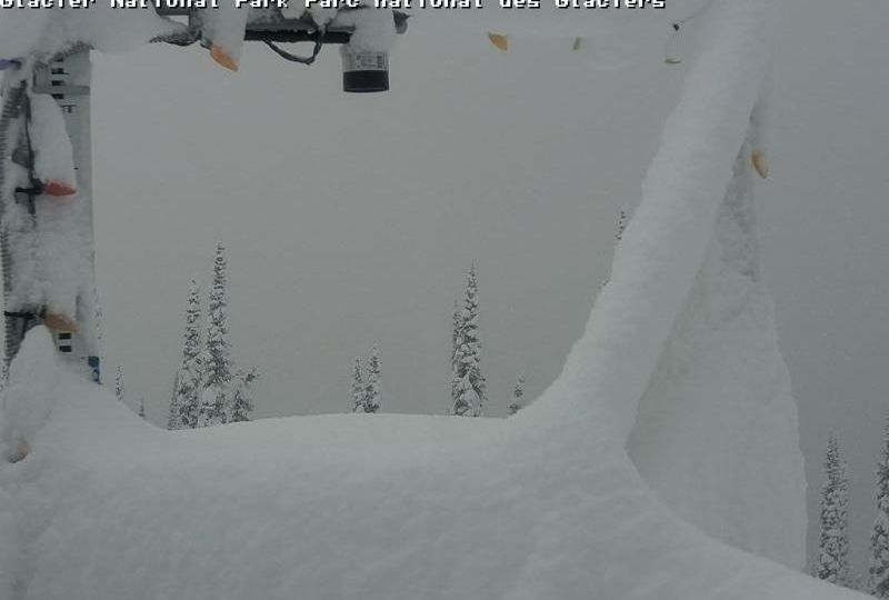 Area A: Glacier Mountaineer Lodge