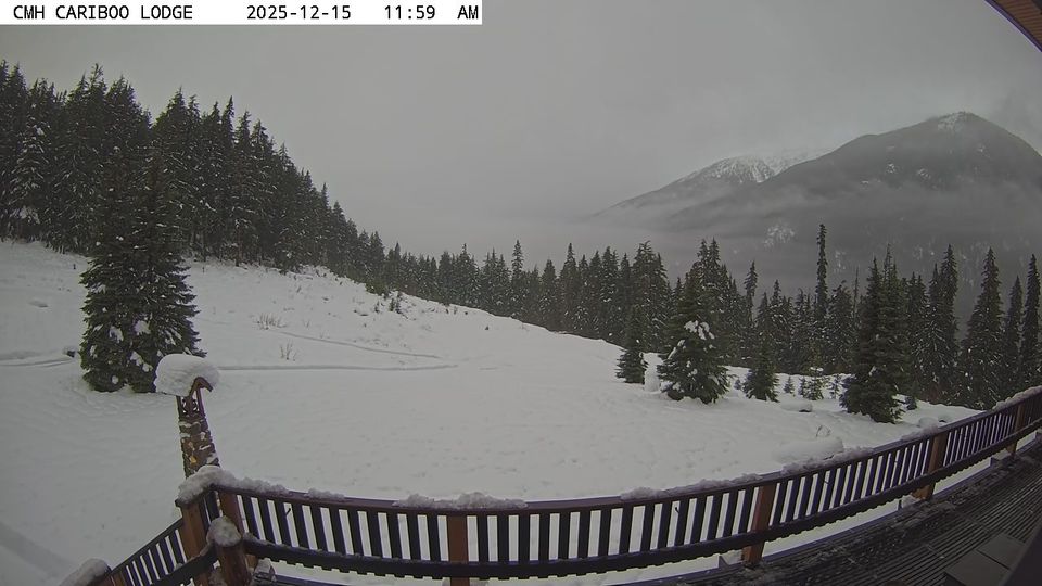 Jasper: Canoe River West Forest Road