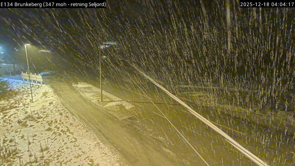 Haugland sondre: Brunkeberg