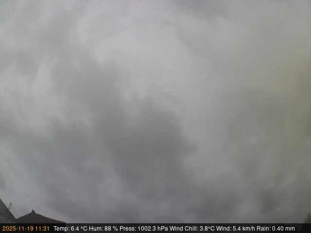 Синт-Кателейне-Вавер