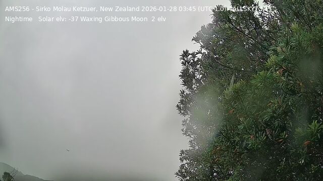 Port Puponga › North-east: Cape Farewell