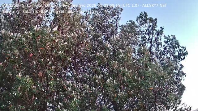 Port Puponga › South-east: Cape Farewell