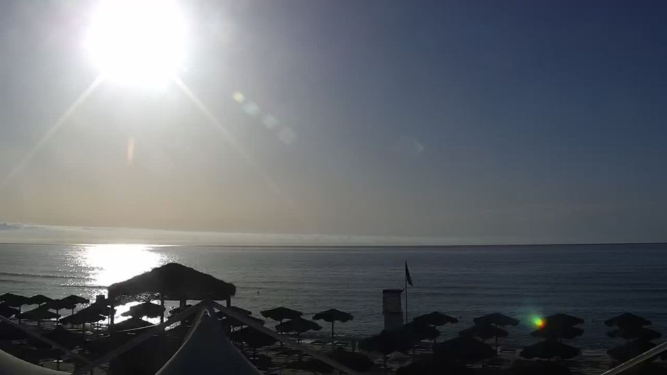 Murera