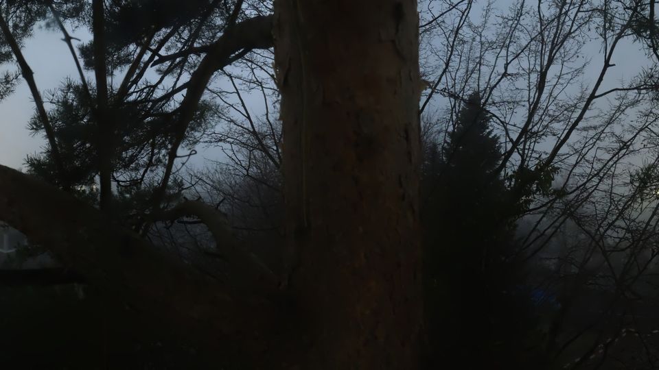 Kradolf-Schonenberg: Schönenberg - Batag AG