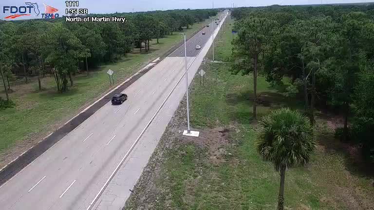 Palm City