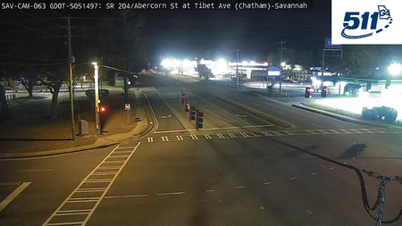 Savannah: White Bluff