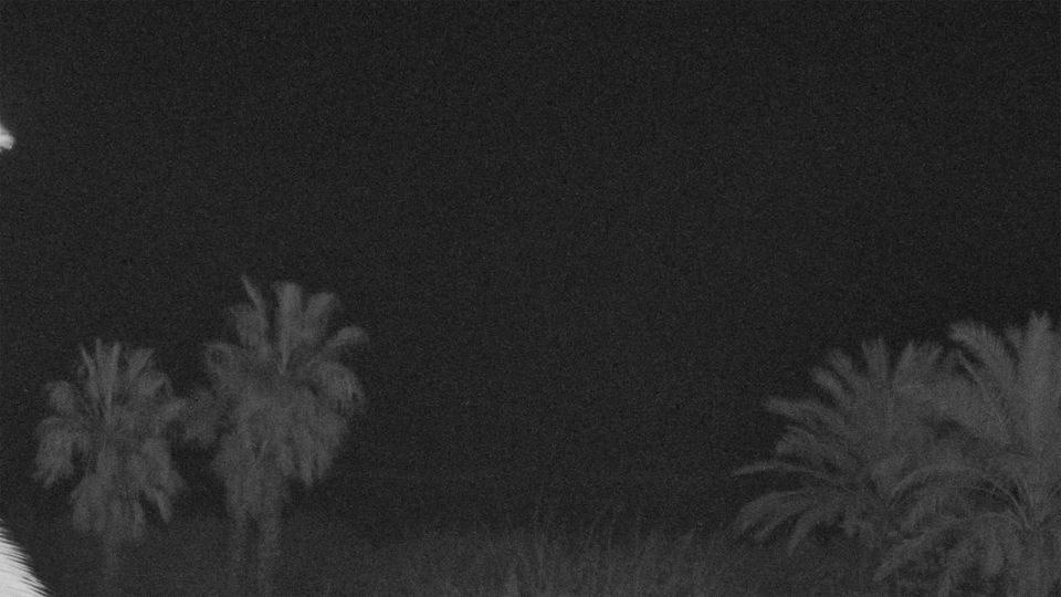 Sant Pere Pescador › East: Càmping Aquarius