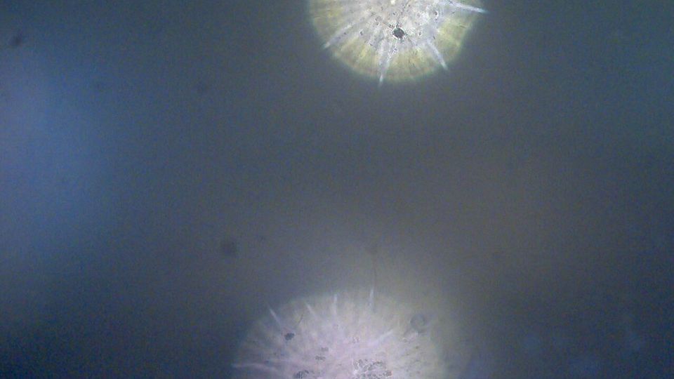 Тверской район