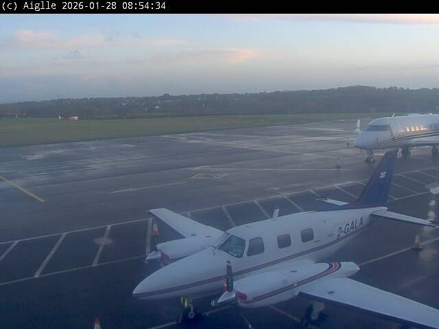 Forest: Aiglle Flight Support