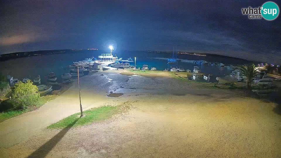 Olib: Webcam Povljana - Pag island