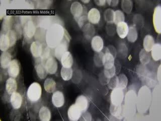 Potter Township