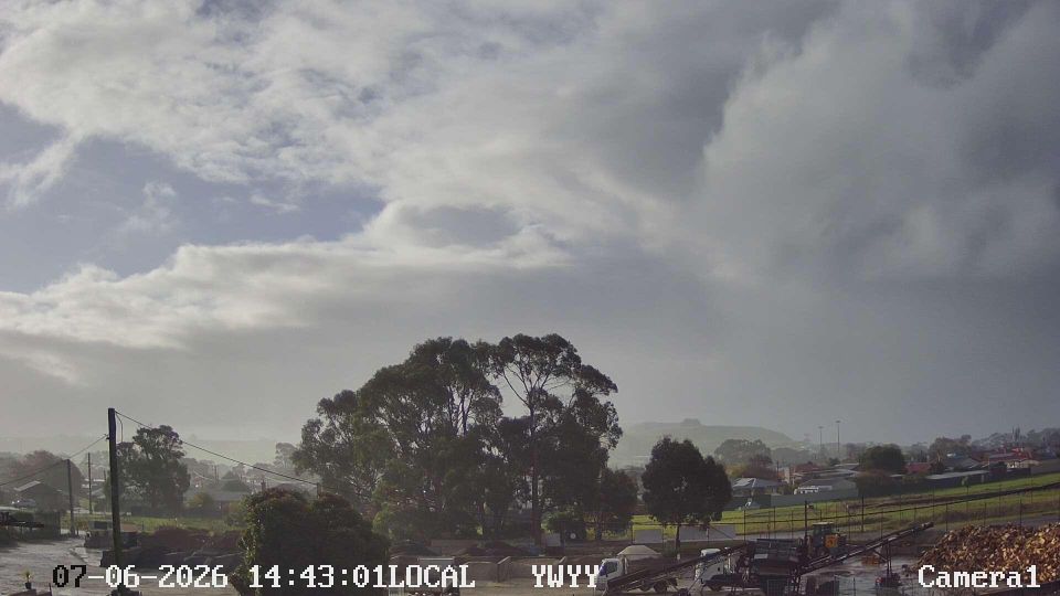Wynyard