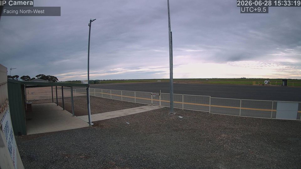 Wallaroo