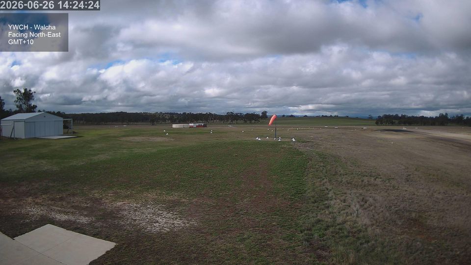 Walcha