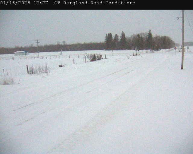 Lake of the Woods Township