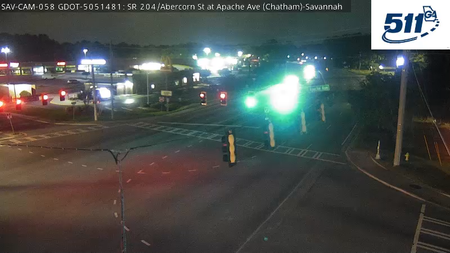 Savannah
