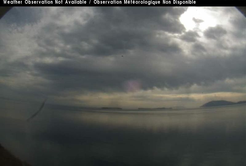 Southern Gulf Islands Electoral Area › East: true