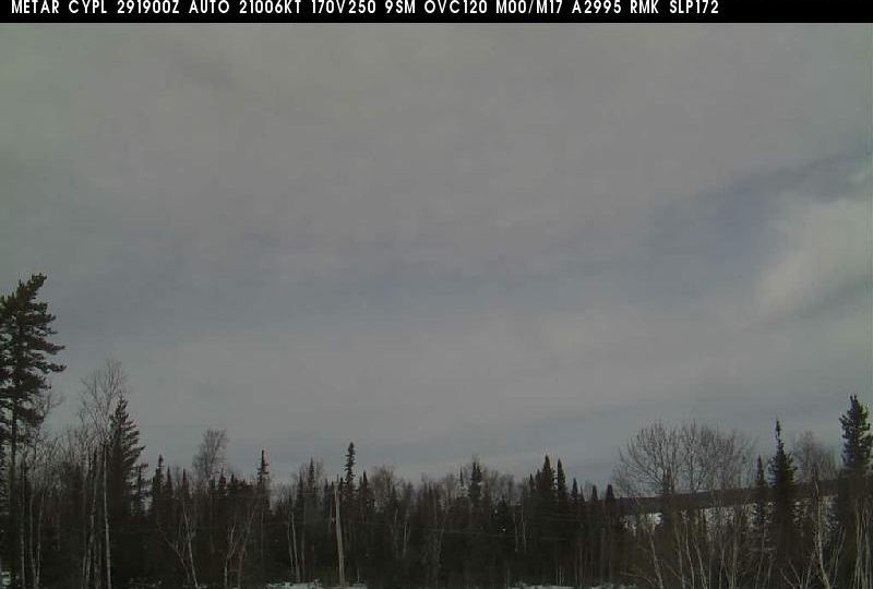 Pickle Lake Township