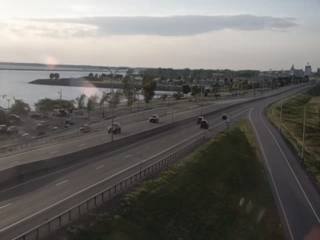 Buffalo