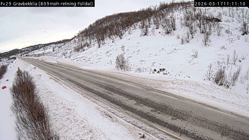 Norway › South-east: Gravbekklia