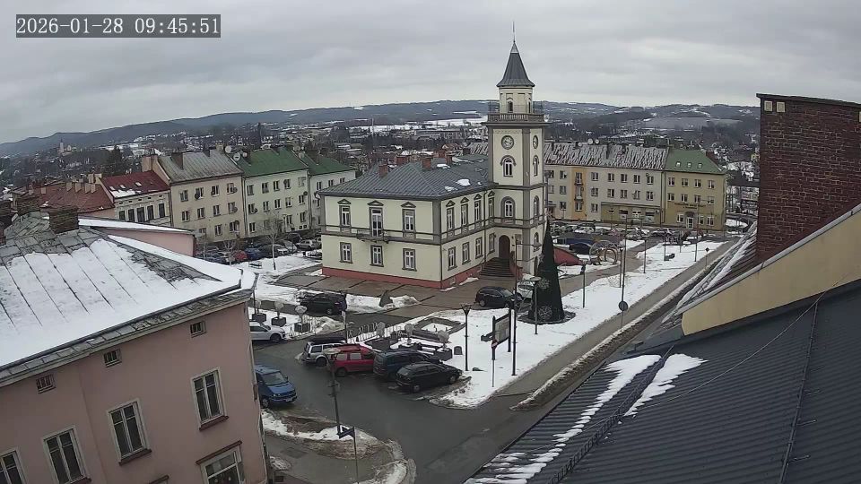 Brzozow: Rynek na żywo