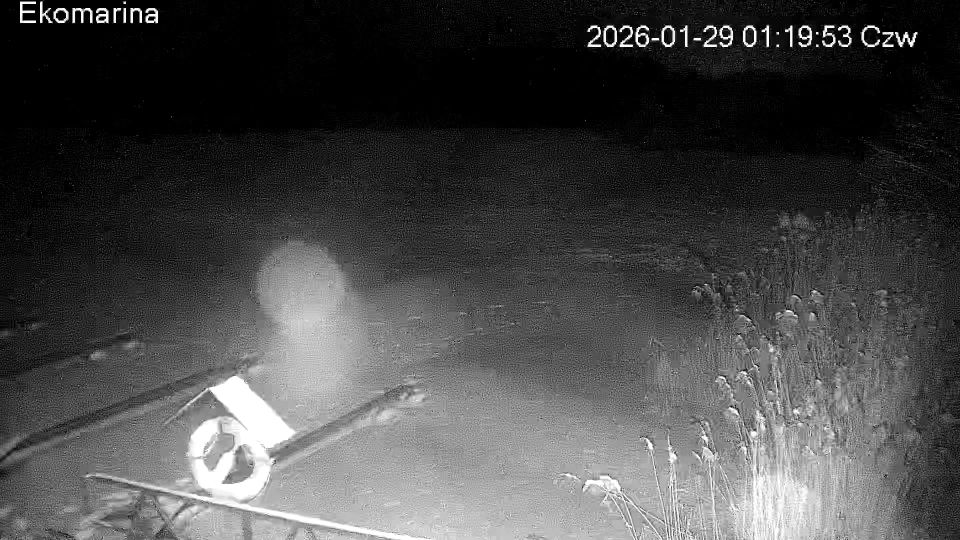 Zalewo: Ekomarina na żywo