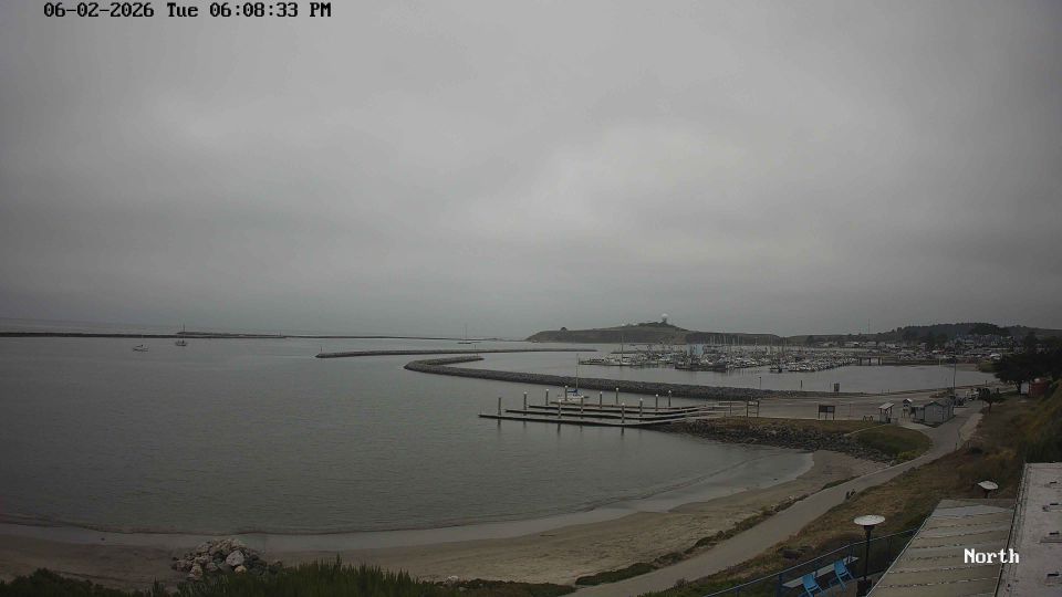 Half Moon Bay › South-west