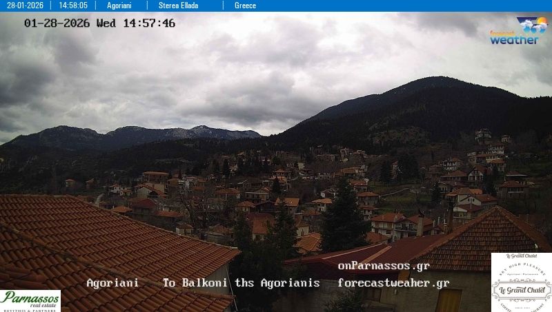 Municipal Unit of Parnassos › South