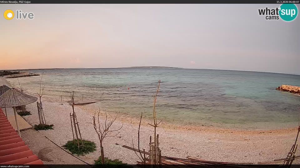 Gajac › South: Město Novalja - Pláž