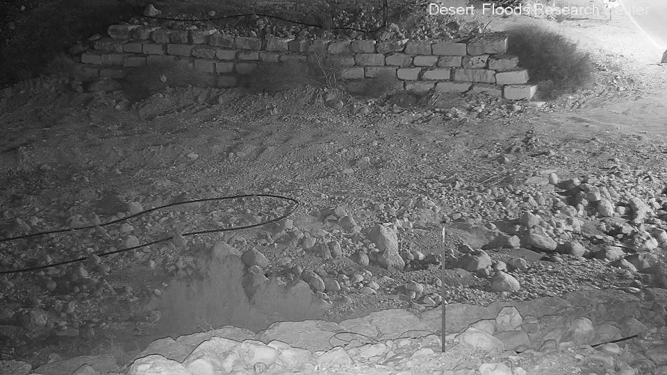 Tamar Regional Council