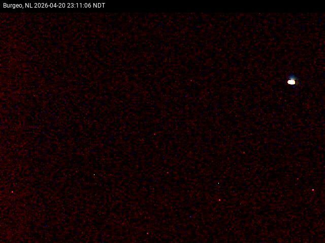 Newfoundland › South: Reach Road