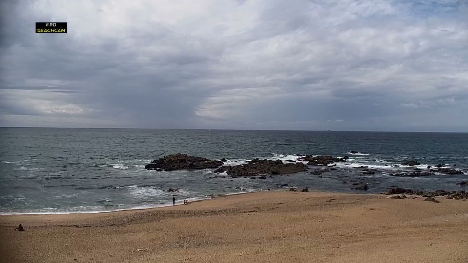 Aldoar, Foz do Douro e Nevogilde